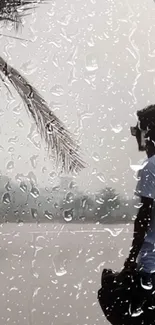 Silhouette of person by lake under a palm tree, with a foggy backdrop.