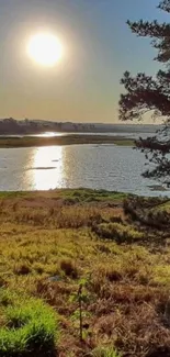 Serene sunset over a tranquil lake with trees and grassy shore.