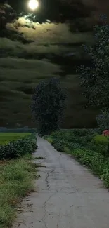 Moonlit country road with lush greenery and a calm night sky.