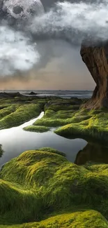 Scenic mobile wallpaper with moonlit mossy landscape.