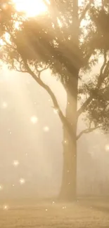 Tree in morning light with golden hues and sparkling effects.