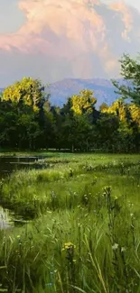 Lush green meadow with serene water and vibrant sky