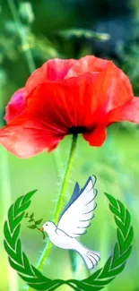 Red poppy and peace dove on green field wallpaper.