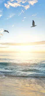 Serene ocean sunrise wallpaper with birds and gentle waves.