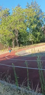 Serene running track with lush green tree and clear blue sky.