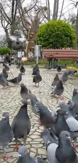 Pigeons gather on park cobblestones surrounded by greenery.