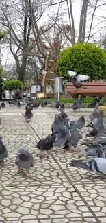 Pigeons gather on a paved park pathway.