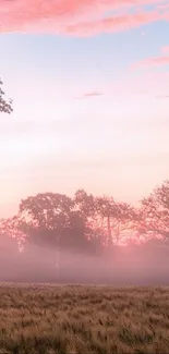 Serene pink sunset over a lush, tranquil meadow with misty trees.