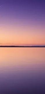 Purple sunset over calm lake with solitary tree reflection.