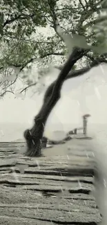 Serene lakeside with tree and rain.