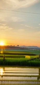 Sunset over rice paddies with reflective water and green fields.