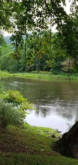 Serene river with lush green surroundings.