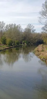 Tranquil river flowing by a green forest under a blue sky.