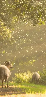 Sheep enjoying a sunny meadow with golden light.