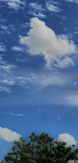 Serene blue sky with fluffy clouds and trees.