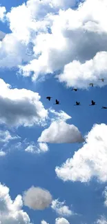 Blue sky with fluffy clouds and birds flying.