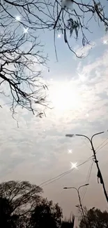 Peaceful sky wallpaper with trees and street lamps.