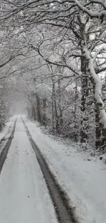 A tranquil snow-covered pathway through a winter forest.