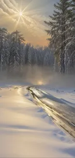 Serene snowy forest with sunlit path and trees under morning sunlight.