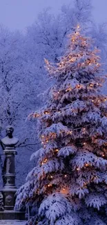 Snowy tree with lights against a night sky.