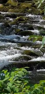 Tranquil stream with greenery in nature wallpaper.