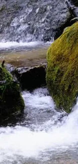 Tranquil waterfall with moss-covered rocks creating a peaceful nature scene.