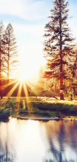 A serene sunrise over a calm lake with pine trees reflecting in the water.