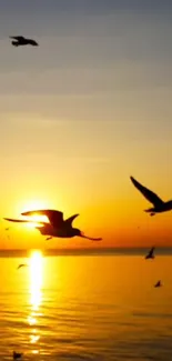 Birds flying over ocean at sunset.