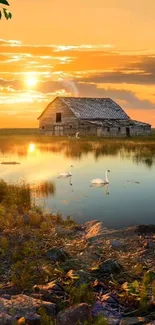 Sunset over a serene lake with a barn and swans, calming mobile wallpaper.