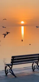 Peaceful sunset over the sea with birds and a bench.