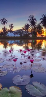 Serene sunset view with palm trees reflecting on a tranquil lake.