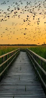 Serene boardwalk at sunset with birds in the sky.
