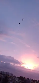 Beautiful sunset sky with birds in flight, perfect for peaceful phone backgrounds.