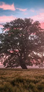 Majestic tree under colorful sunset sky, perfect for serene phone wallpaper.