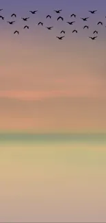 Solitary tree and birds at sunset over calm waters.