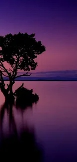 Solitary tree reflecting in calm waters under a purple twilight sky.