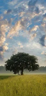 Serene landscape with a lone tree and vibrant sky.