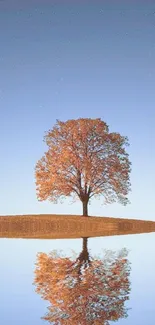 Serene mobile wallpaper of a tree reflected in water under a starry sky.