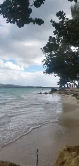 Serene tropical beach scene with blue sky and lush trees.