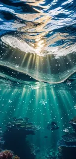 Sunlit underwater coral scene with peaceful ocean waves.