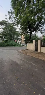 Serene suburban street with lush trees and a quiet road.