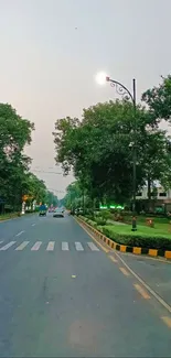 Serene urban street with lush trees and soft lighting.