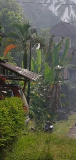 Serene village path lined with lush greenery and traditional houses.