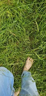 Footsteps in lush green grass on a sunny day.