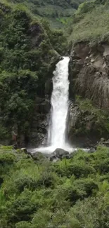 Waterfall cascading in lush green forest.