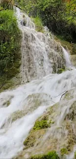 Serene waterfall in lush green forest wallpaper.