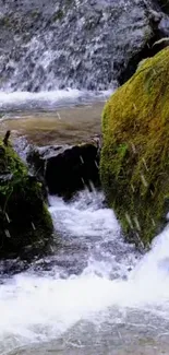 Tranquil waterfall scene with mossy rocks and flowing stream in vibrant nature.