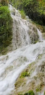 A calming waterfall cascading through a lush, green forest setting.