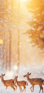 Deer in a snowy forest with golden light creating a peaceful winter scene.