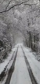 Snow-covered forest pathway in winter.